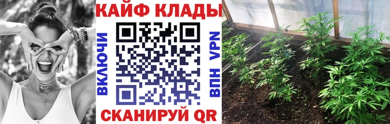 Галлюциногенные грибы Сыктывкар