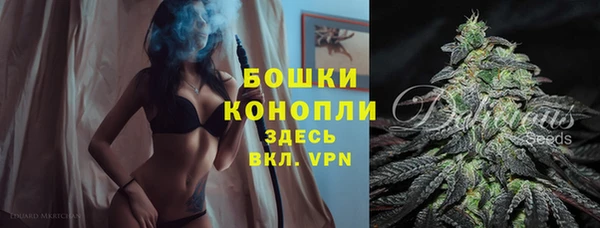 твердый Магас