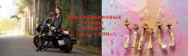 ГАЛЛЮЦИНОГЕННЫЕ ГРИБЫ Медногорск