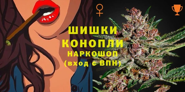 твердый Магас