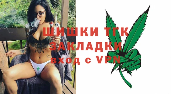 твердый Магас